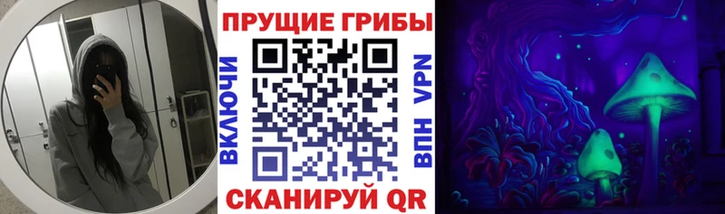 закладки  Нальчик  Галлюциногенные грибы мицелий 
