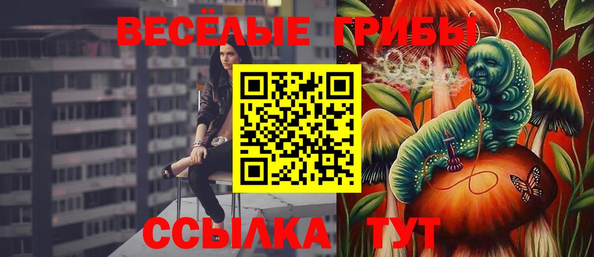 Нальчик  продажа наркотиков  Псилоцибиновые грибы Cubensis  Вход с VPN  Галлюциногенные грибы MAGIC MUSHROOMS 